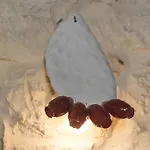 빌라 Sardedda *